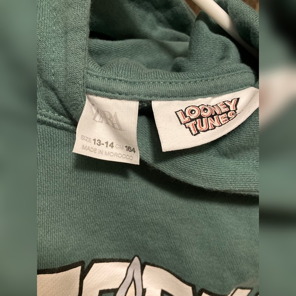 Zara Girl Plush Embossed Dress - Picture 3 of 5